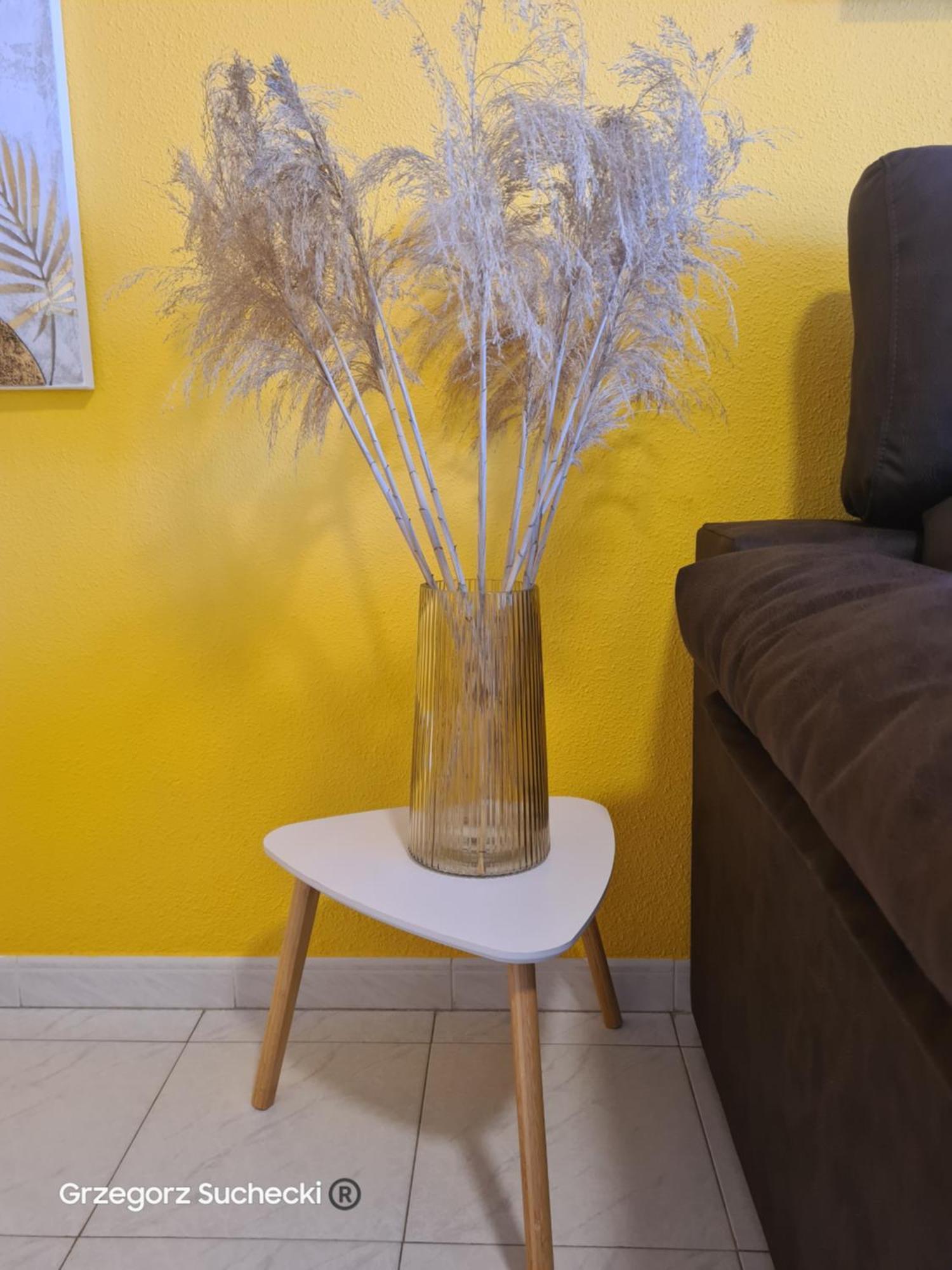 Apartamento Parquemar Apartment La Mata  Luaran gambar